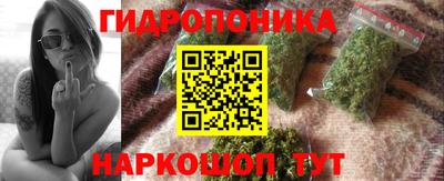 прущие грибы Славянск-на-Кубани