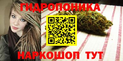прущие грибы Славянск-на-Кубани