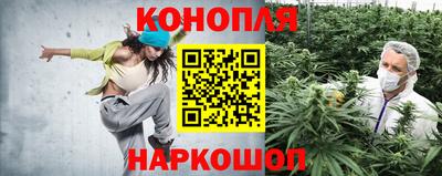 прущие грибы Славянск-на-Кубани