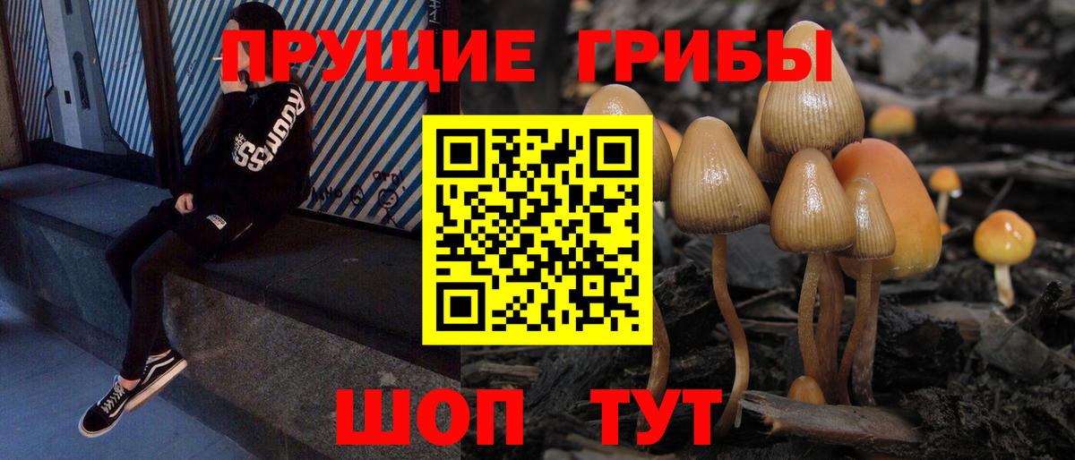 Галлюциногенные грибы Cubensis Нальчик