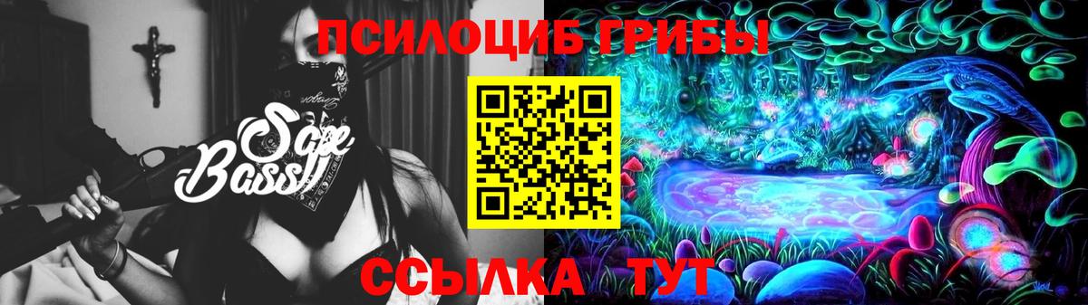 Нальчик  Галлюциногенные грибы Psilocybine cubensis  как найти наркотики  Вход с VPN 